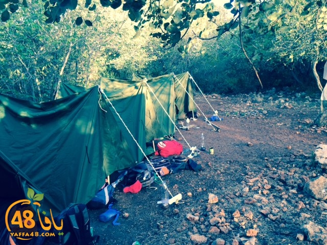 kashafa re7al3 (2).jpg